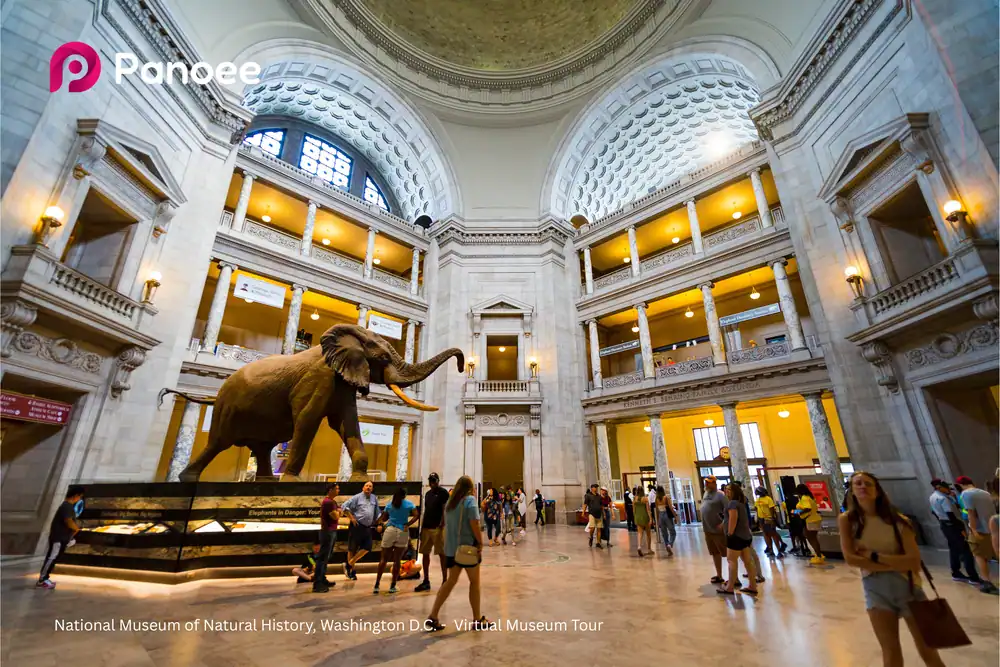 National Museum of Natural History, Washington D.C. - Virtual Museum Tour