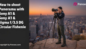 How to Shoot Panoramas with Sony A1 & Sigma 8mm f/3.5 EX DG Circular Fisheye