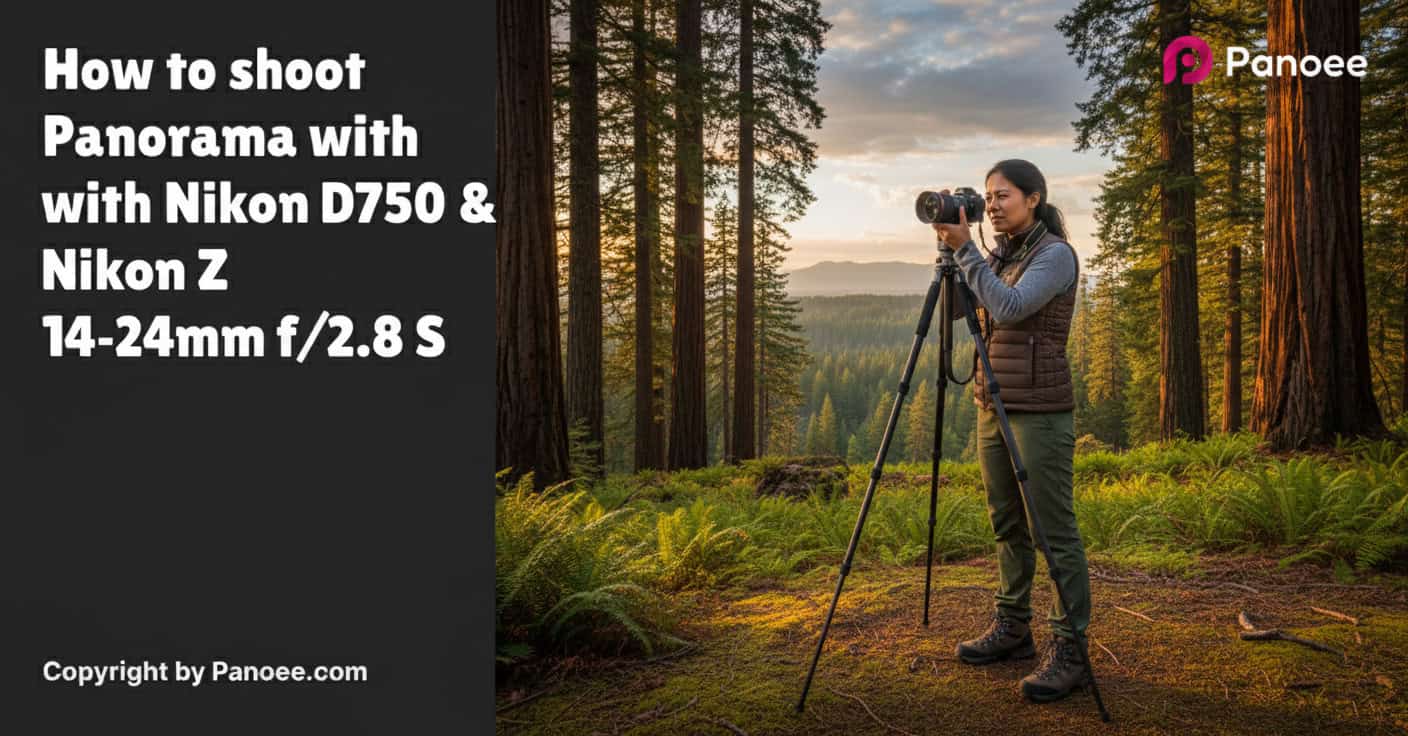 How to Shoot Panoramas with Nikon D750 & Nikon Z 14-24mm f/2.8 S